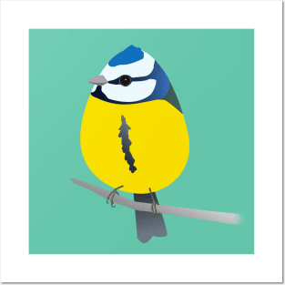 Cute egg shaped bluetit Posters and Art